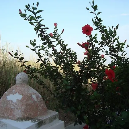 La Casa Bianca Tatil Evi *